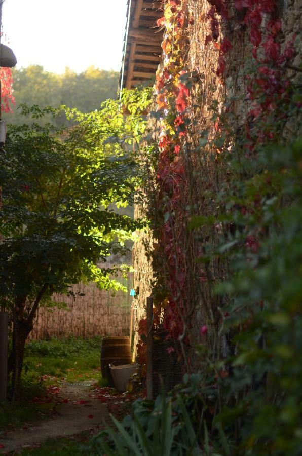Torre Tanquian Eco Finca - Ribeira Sacra Pantón Extérieur photo