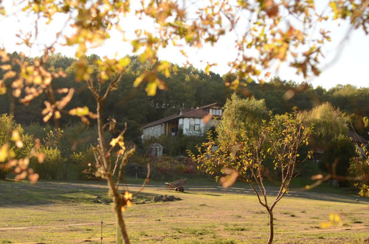 Torre Tanquian Eco Finca - Ribeira Sacra Pantón Extérieur photo